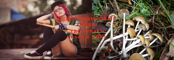 скорость Шарыпово